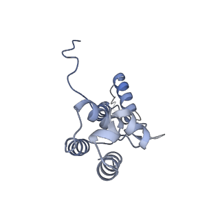 14447_7z1l_D_v1-1
Structure of yeast RNA Polymerase III Pre-Termination Complex (PTC)