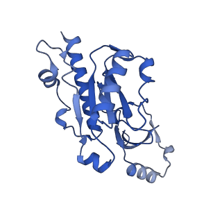 14447_7z1l_E_v1-1
Structure of yeast RNA Polymerase III Pre-Termination Complex (PTC)
