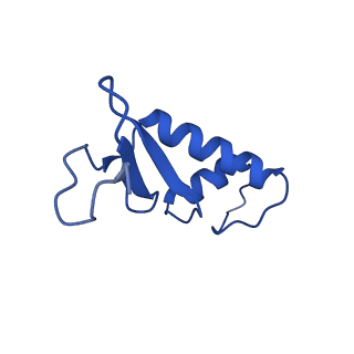 14447_7z1l_F_v1-1
Structure of yeast RNA Polymerase III Pre-Termination Complex (PTC)