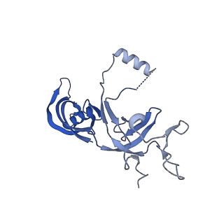 14447_7z1l_G_v1-1
Structure of yeast RNA Polymerase III Pre-Termination Complex (PTC)