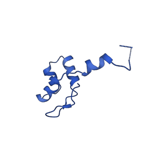 14447_7z1l_J_v1-1
Structure of yeast RNA Polymerase III Pre-Termination Complex (PTC)
