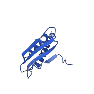 14447_7z1l_K_v1-1
Structure of yeast RNA Polymerase III Pre-Termination Complex (PTC)