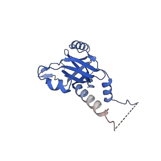 14447_7z1l_M_v1-1
Structure of yeast RNA Polymerase III Pre-Termination Complex (PTC)