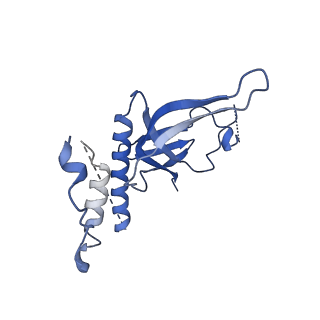 14447_7z1l_N_v1-1
Structure of yeast RNA Polymerase III Pre-Termination Complex (PTC)