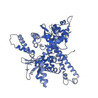 14447_7z1l_O_v1-1
Structure of yeast RNA Polymerase III Pre-Termination Complex (PTC)