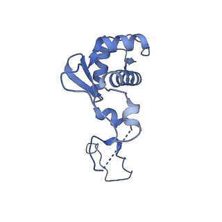 14447_7z1l_P_v1-1
Structure of yeast RNA Polymerase III Pre-Termination Complex (PTC)
