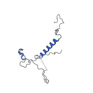 14447_7z1l_Q_v1-1
Structure of yeast RNA Polymerase III Pre-Termination Complex (PTC)