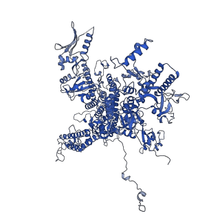 14448_7z1m_A_v1-1
Structure of yeast RNA Polymerase III Elongation Complex (EC)