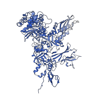 14448_7z1m_B_v1-1
Structure of yeast RNA Polymerase III Elongation Complex (EC)