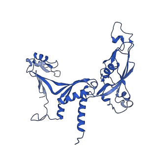 14448_7z1m_C_v1-1
Structure of yeast RNA Polymerase III Elongation Complex (EC)