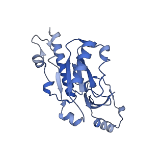 14448_7z1m_E_v1-1
Structure of yeast RNA Polymerase III Elongation Complex (EC)
