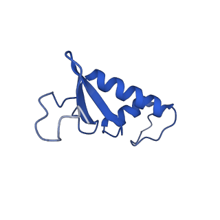 14448_7z1m_F_v1-1
Structure of yeast RNA Polymerase III Elongation Complex (EC)