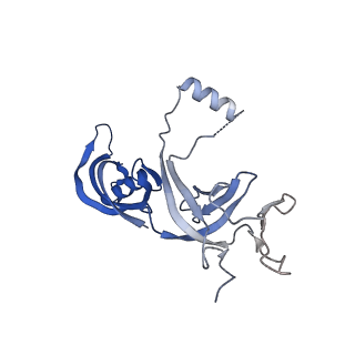 14448_7z1m_G_v1-1
Structure of yeast RNA Polymerase III Elongation Complex (EC)