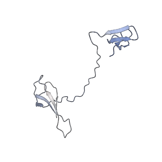 14448_7z1m_I_v1-1
Structure of yeast RNA Polymerase III Elongation Complex (EC)