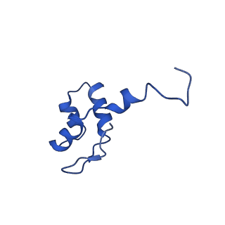 14448_7z1m_J_v1-1
Structure of yeast RNA Polymerase III Elongation Complex (EC)