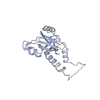 14448_7z1m_M_v1-1
Structure of yeast RNA Polymerase III Elongation Complex (EC)