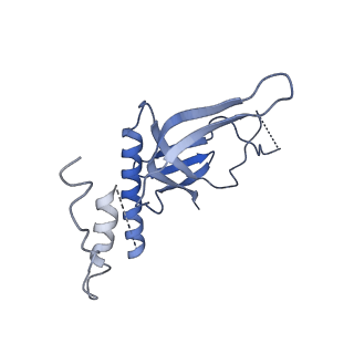 14448_7z1m_N_v1-1
Structure of yeast RNA Polymerase III Elongation Complex (EC)