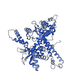 14448_7z1m_O_v1-1
Structure of yeast RNA Polymerase III Elongation Complex (EC)