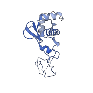 14448_7z1m_P_v1-1
Structure of yeast RNA Polymerase III Elongation Complex (EC)