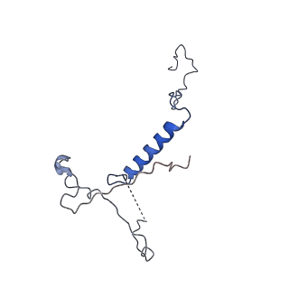 14448_7z1m_Q_v1-1
Structure of yeast RNA Polymerase III Elongation Complex (EC)