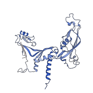 14449_7z1n_C_v1-1
Structure of yeast RNA Polymerase III Delta C53-C37-C11
