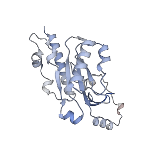 14449_7z1n_E_v1-1
Structure of yeast RNA Polymerase III Delta C53-C37-C11