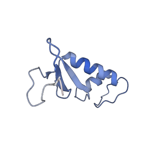 14449_7z1n_F_v1-1
Structure of yeast RNA Polymerase III Delta C53-C37-C11