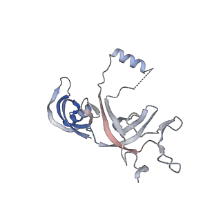 14449_7z1n_G_v1-1
Structure of yeast RNA Polymerase III Delta C53-C37-C11
