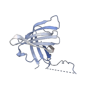 14449_7z1n_H_v1-1
Structure of yeast RNA Polymerase III Delta C53-C37-C11