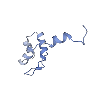 14449_7z1n_J_v1-1
Structure of yeast RNA Polymerase III Delta C53-C37-C11