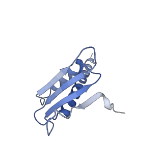 14449_7z1n_K_v1-1
Structure of yeast RNA Polymerase III Delta C53-C37-C11