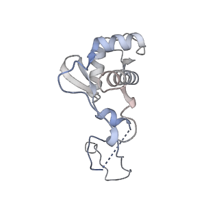 14449_7z1n_P_v1-1
Structure of yeast RNA Polymerase III Delta C53-C37-C11