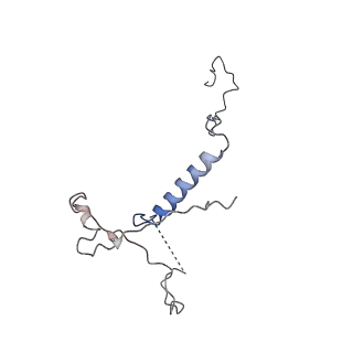 14449_7z1n_Q_v1-1
Structure of yeast RNA Polymerase III Delta C53-C37-C11