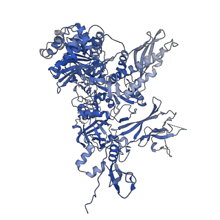 14451_7z1o_B_v1-1
Structure of yeast RNA Polymerase III PTC + NTPs