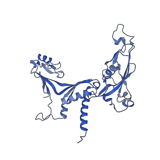 14451_7z1o_C_v1-1
Structure of yeast RNA Polymerase III PTC + NTPs