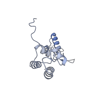 14451_7z1o_D_v1-1
Structure of yeast RNA Polymerase III PTC + NTPs