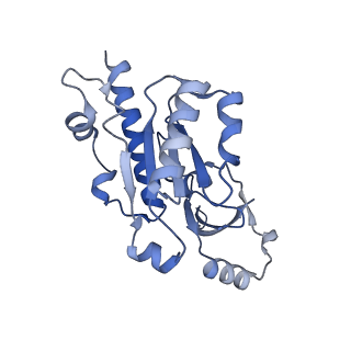 14451_7z1o_E_v1-1
Structure of yeast RNA Polymerase III PTC + NTPs