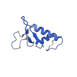 14451_7z1o_F_v1-1
Structure of yeast RNA Polymerase III PTC + NTPs