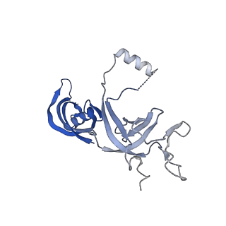 14451_7z1o_G_v1-1
Structure of yeast RNA Polymerase III PTC + NTPs