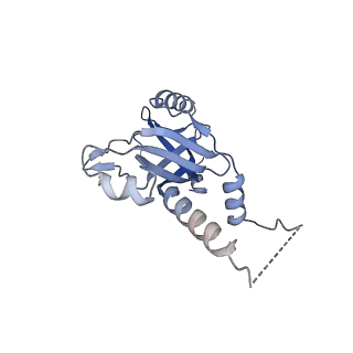 14451_7z1o_M_v1-1
Structure of yeast RNA Polymerase III PTC + NTPs