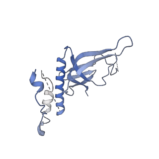 14451_7z1o_N_v1-1
Structure of yeast RNA Polymerase III PTC + NTPs