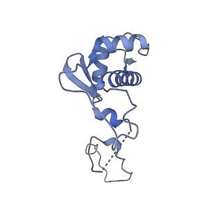 14451_7z1o_P_v1-1
Structure of yeast RNA Polymerase III PTC + NTPs