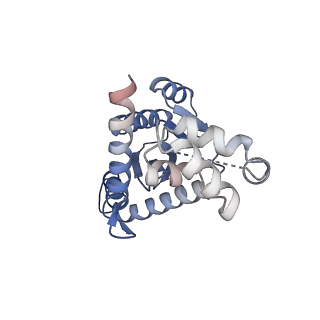 14453_7z1z_B_v1-1
MVV strand transfer complex (STC) intasome in complex with LEDGF/p75 at 3.5 A resolution