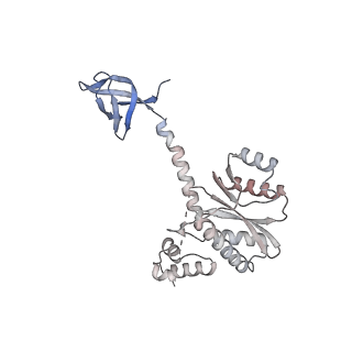 14453_7z1z_D_v1-1
MVV strand transfer complex (STC) intasome in complex with LEDGF/p75 at 3.5 A resolution
