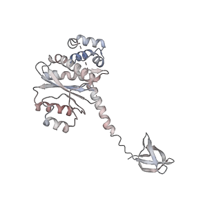 14453_7z1z_E_v1-1
MVV strand transfer complex (STC) intasome in complex with LEDGF/p75 at 3.5 A resolution