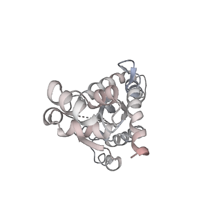 14453_7z1z_G_v1-1
MVV strand transfer complex (STC) intasome in complex with LEDGF/p75 at 3.5 A resolution