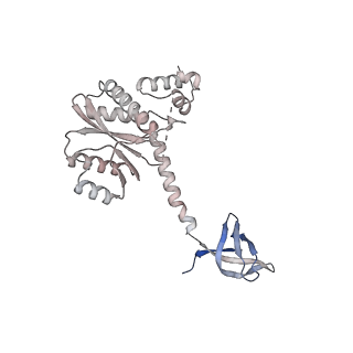 14453_7z1z_L_v1-1
MVV strand transfer complex (STC) intasome in complex with LEDGF/p75 at 3.5 A resolution