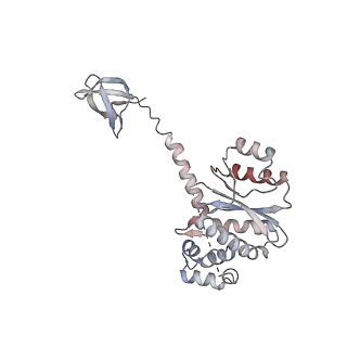 14453_7z1z_M_v1-1
MVV strand transfer complex (STC) intasome in complex with LEDGF/p75 at 3.5 A resolution