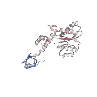 14453_7z1z_N_v1-1
MVV strand transfer complex (STC) intasome in complex with LEDGF/p75 at 3.5 A resolution
