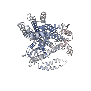 6875_5z1f_B_v1-1
Structure of atOSCA3.1 channel